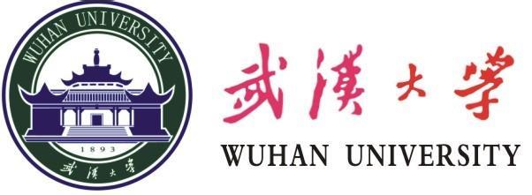 武汉大学